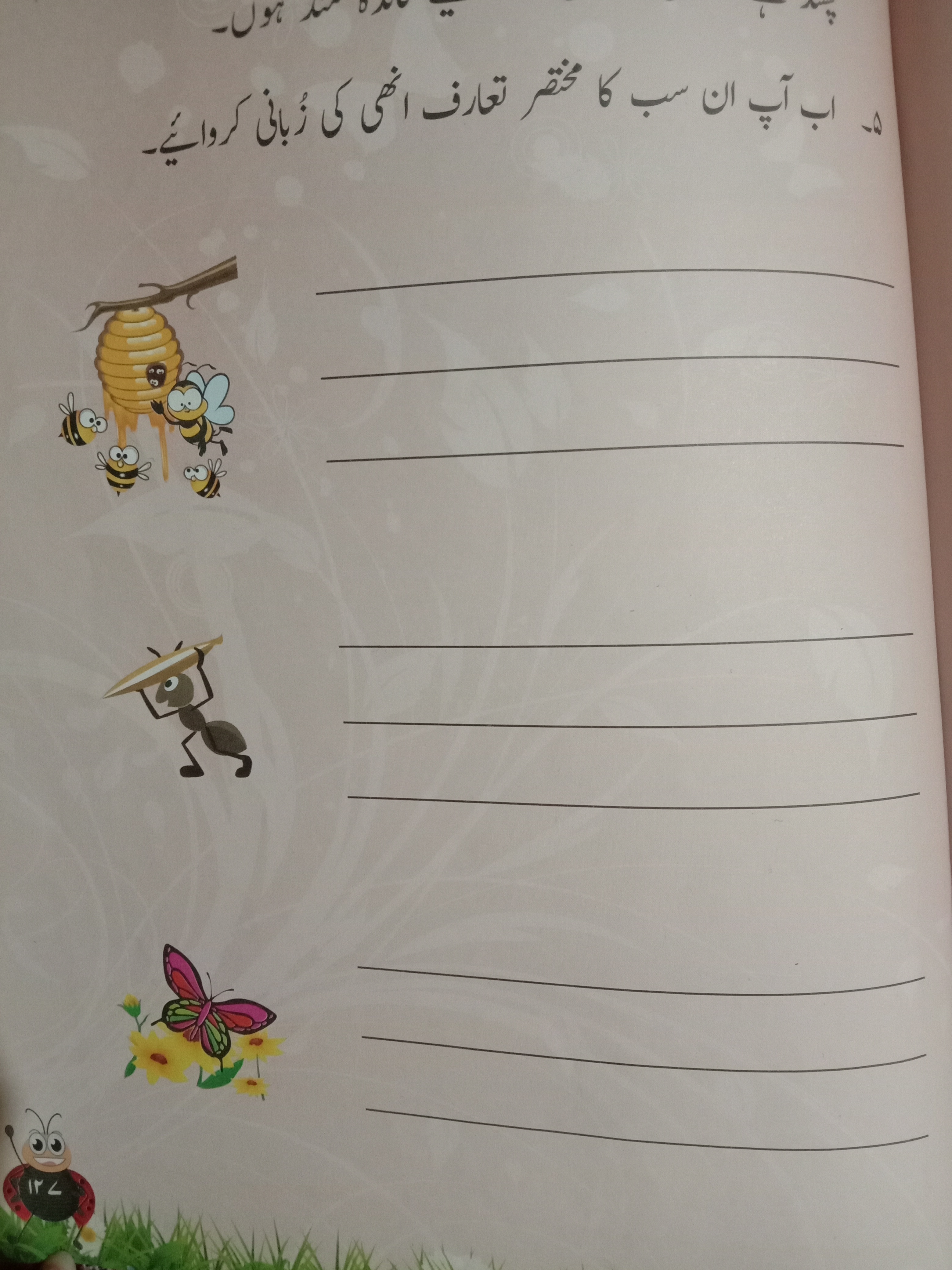 Supernova school website picture